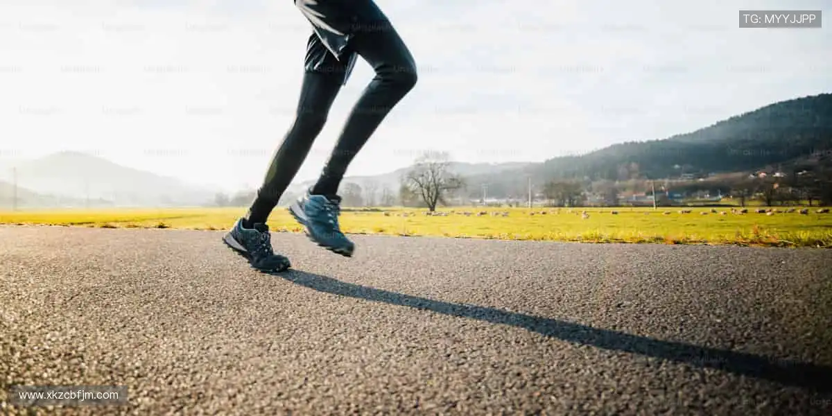 🚀一键直击，精彩永不缺席！🏉
